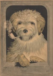 Tout va bien !, 1835-56