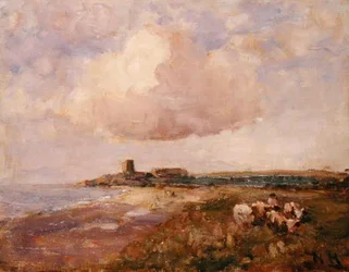 Vue côtière irlandaise avec garçon et bétail