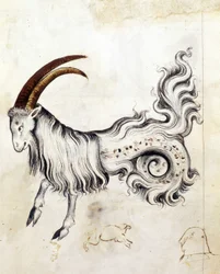 Le signe du zodiaque Capricorne