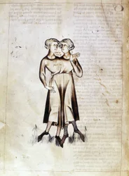 Dessin des Gémeaux, d
