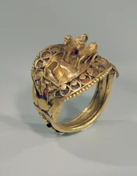 Bague de cheval