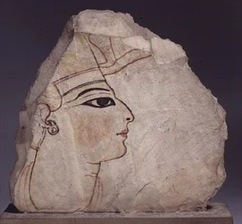Ostracon avec le profil d
