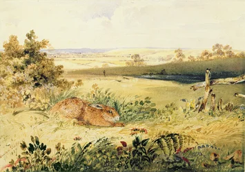 Lièvre dans un paysage, 1827