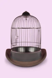 Cage mentale, 2020
