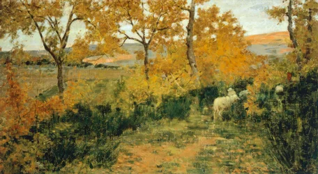 Forêt dorée à Montemiccioli