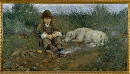 Dans la forêt