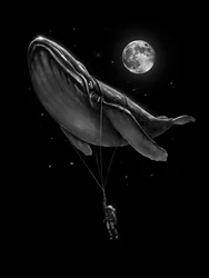Balade cosmique à dos de baleine