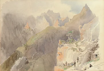 Tenerife et Madère