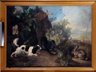 Deux chiens et un lapin