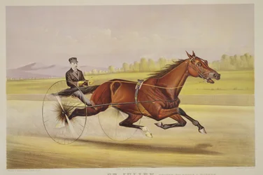 Le roi du turf, 