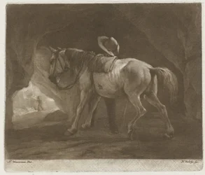 Cheval urinant