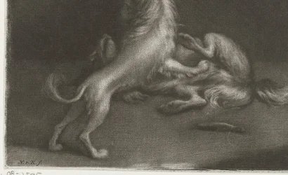 Deux chiens jouant