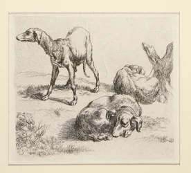 2 gravures de la série Divers Animaux, avec l