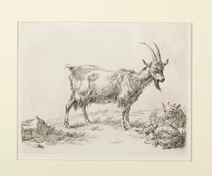 6 gravures de