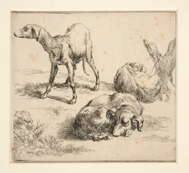 Trois chiens de chasse