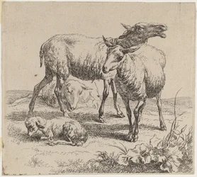 Trois moutons et un agneau