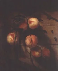 Branche de pêches contre un mur, avec des escargots