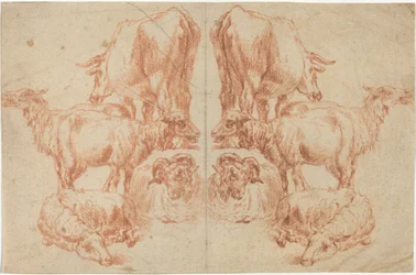 Quatre moutons et une vache