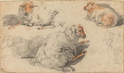 Moutons