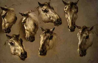 Esquisses de têtes de chevaux