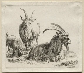 Trois chèvres