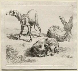 Trois chiens de chasse
