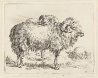 Deux béliers et un mouton