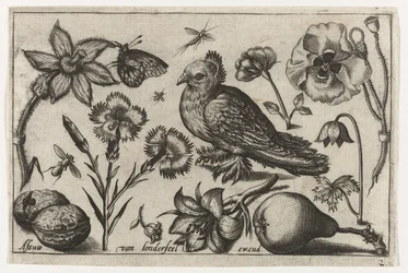 Fleurs, une poire et une colombe (Vogels, bloemen, insecten etc.)