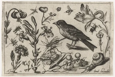 Fleurs, un escargot et un oiseau (Oiseaux, fleurs, insectes, etc.)