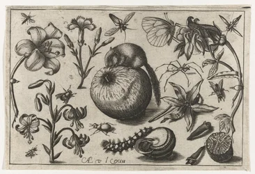 Fleurs et une souris sur une pomme