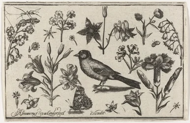 Fleurs, papillon et un oiseau