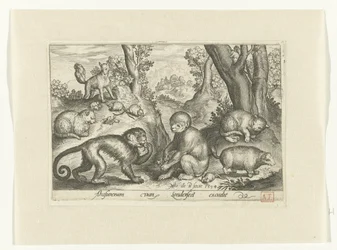 Singes, chats et souris