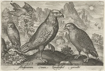 Aigle et autres rapaces