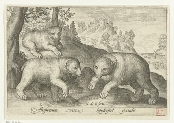 Trois ours