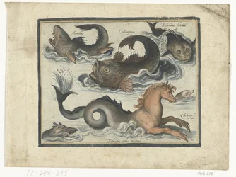 Animaux aquatiques fantastiques, y compris un hippocampe