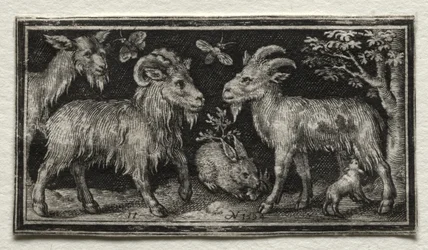 Chèvres et Lièvre, 1594