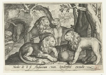 Lions