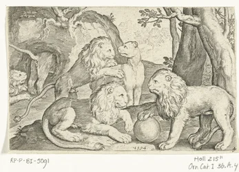 Lions
