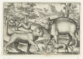 Léopard, sanglier et deux chiens