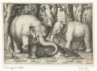 Deux éléphants, Animalivm qvadrvpedvm (titre de la série), Animaux dans des paysages (titre de la série)