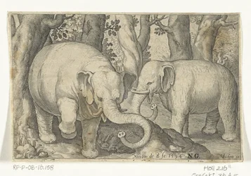 Deux éléphants
Animalivm qvadrvpedvm (série)
Animaux dans les paysages (série)