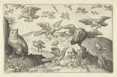 Hibou avec proie attaqué par d