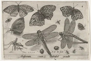 Papillons et libellules