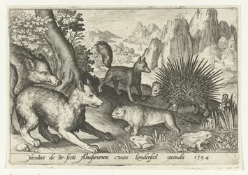 Sanglier, renards, castor, porc-épic et grenouilles