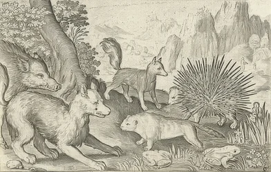Sanglier, renards, castors, porc-épic et grenouilles. 1621
