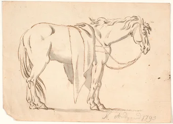 Un cheval avec une couverture