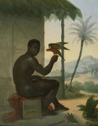 Brésilien noir avec oiseau tropical