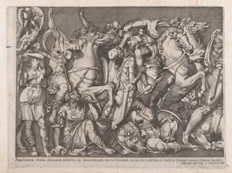 Speculum Romanae Magnificentiae : Bataille des Amazones