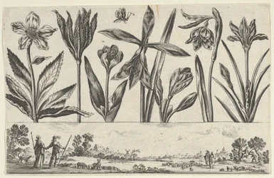 Panneau horizontal avec une rangée de fleurs au-dessus d