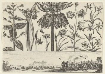 Panneau horizontal avec une rangée de fleurs au-dessus d